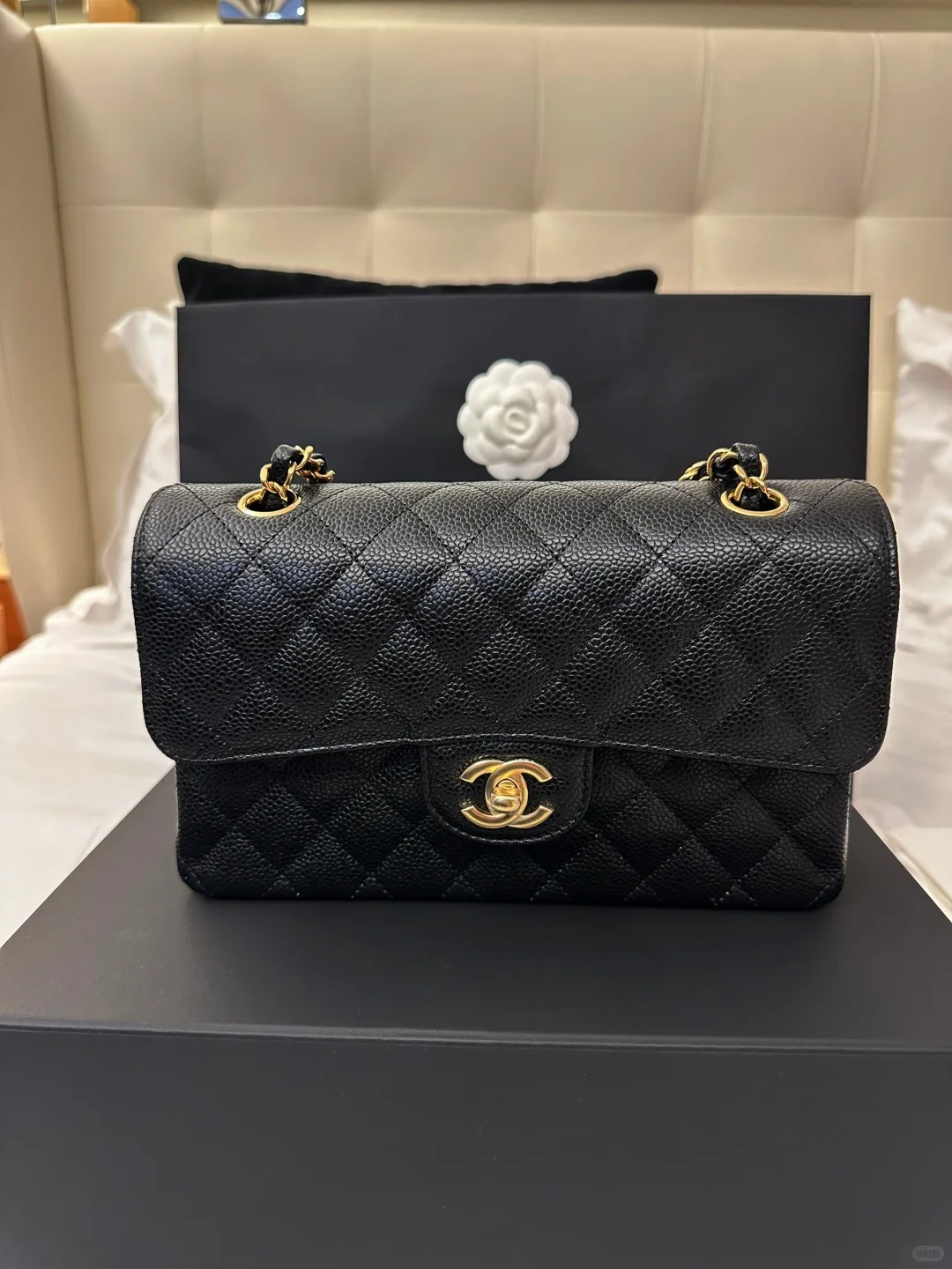 베스트 포토 후기