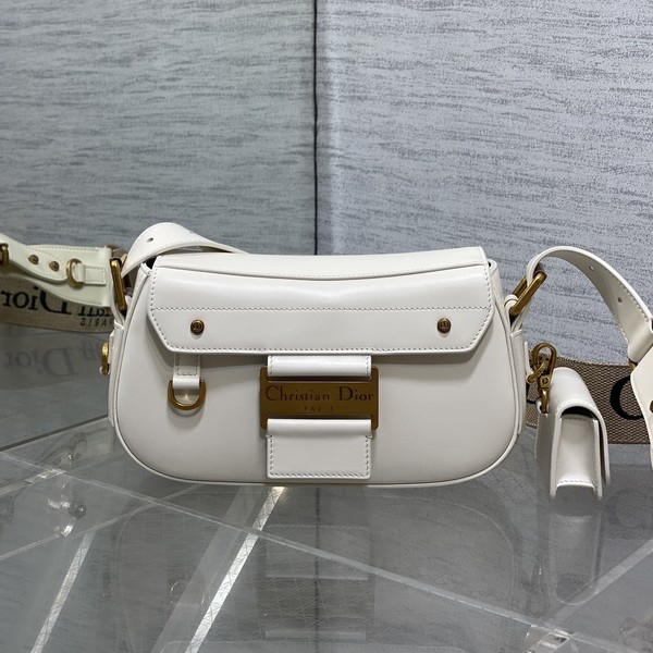 디올 오블리크 스트릿시크 백