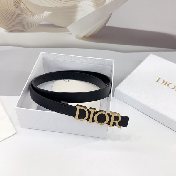 디올 디 드림 골드 벨트