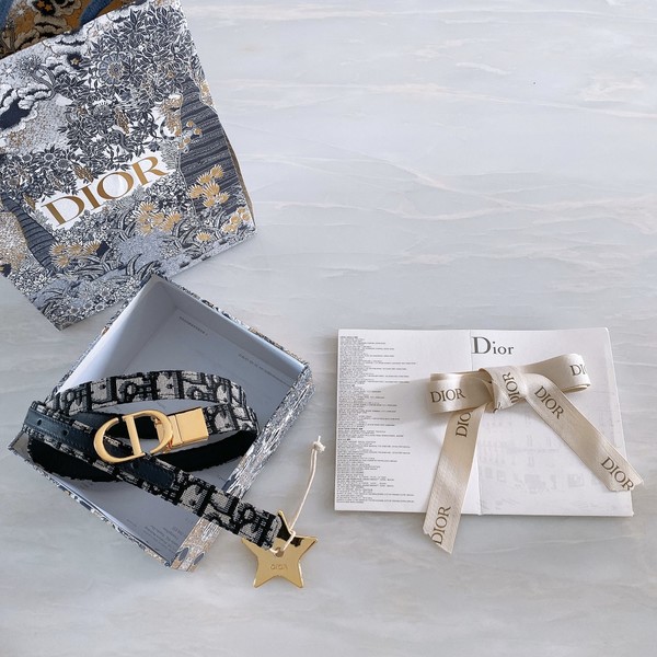 디올 30 몽테인 오블리크 자카드 골드 벨트