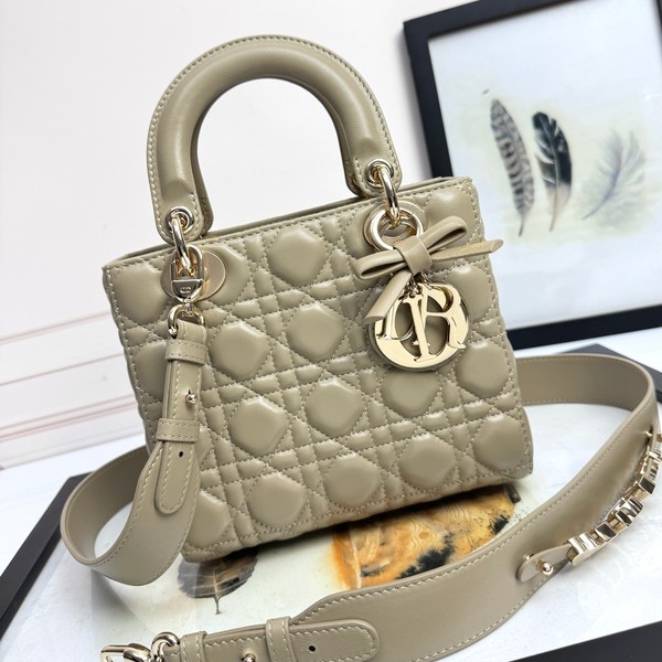 디올 레이디 카나쥬 백 20