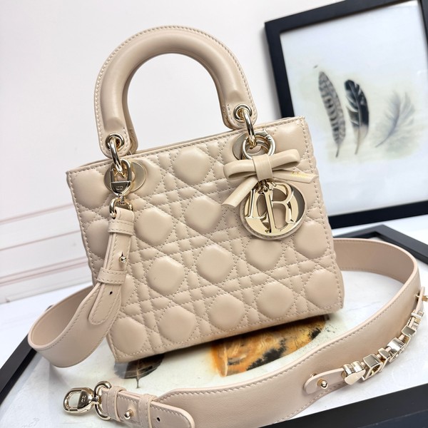 디올 레이디 카나쥬 백 20