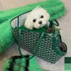 고야드 삭 시앙 그리 백 그린