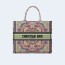 디올 멀티컬러 핑크 북 토트 라지 백