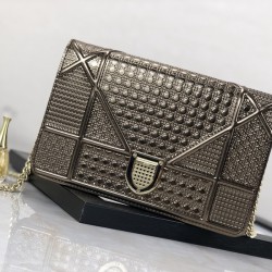 디올 라마 WOC 체인 숄더백