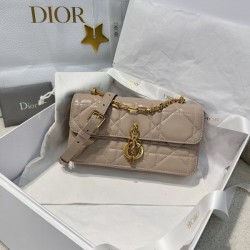 디올 미스 데이지 백