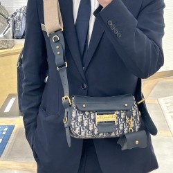 디올 오블리크 스트릿시크 백