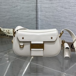 디올 오블리크 스트릿시크 백