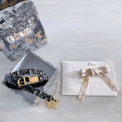 디올 30 몽테인 오블리크 자카드 골드 벨트