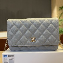 샤넬 25c 크루즈 WOC AP4241